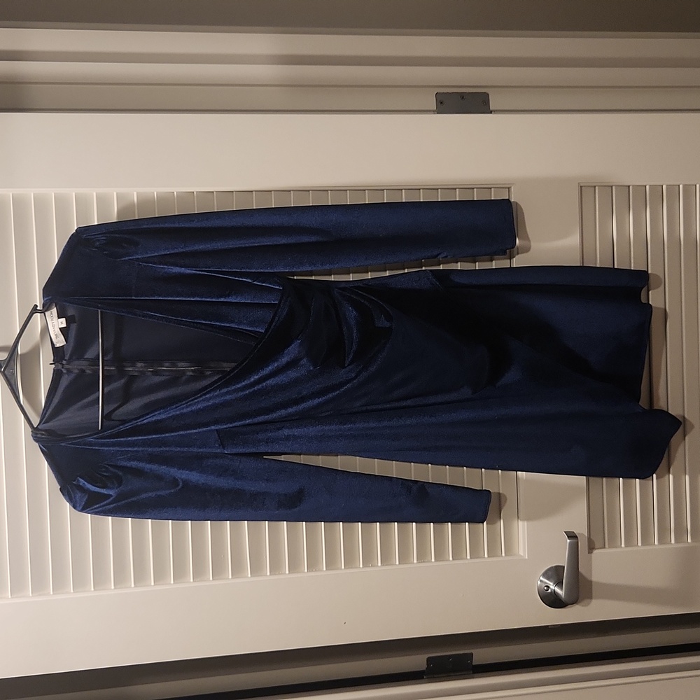 Vanity Room Velvet Dress